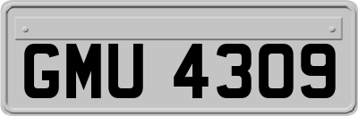 GMU4309
