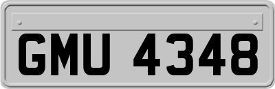 GMU4348