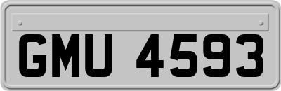 GMU4593