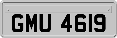 GMU4619