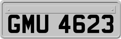 GMU4623