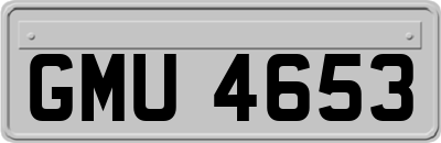 GMU4653