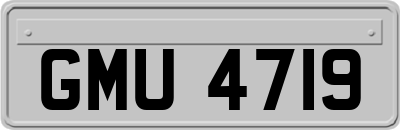 GMU4719