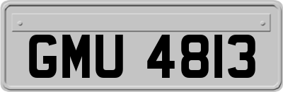 GMU4813