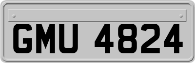 GMU4824