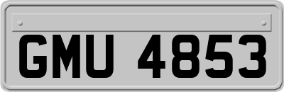 GMU4853