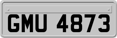 GMU4873