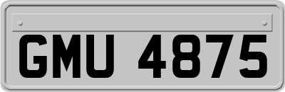 GMU4875