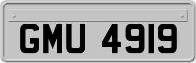 GMU4919