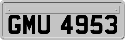 GMU4953