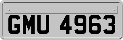 GMU4963