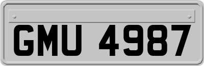 GMU4987