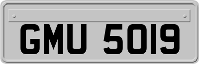 GMU5019