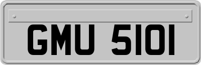 GMU5101
