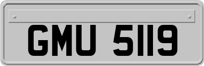 GMU5119