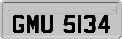 GMU5134