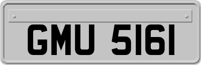GMU5161
