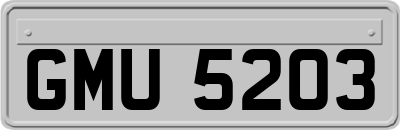 GMU5203