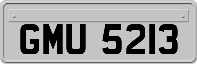 GMU5213