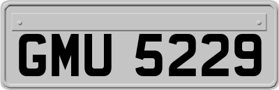 GMU5229