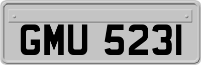 GMU5231