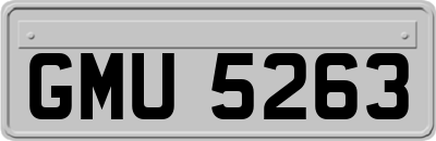GMU5263