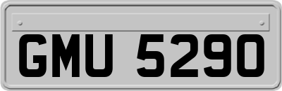 GMU5290