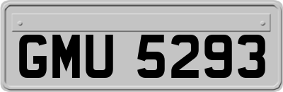 GMU5293