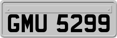 GMU5299