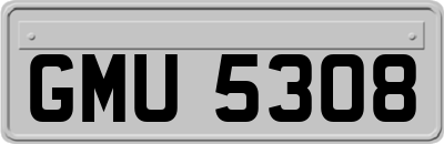 GMU5308