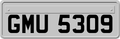 GMU5309