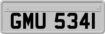 GMU5341