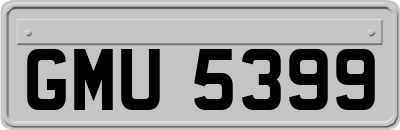 GMU5399