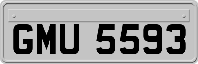 GMU5593