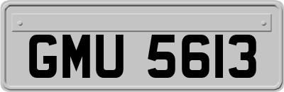 GMU5613