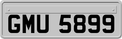 GMU5899