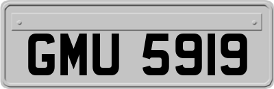 GMU5919