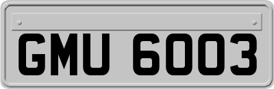 GMU6003