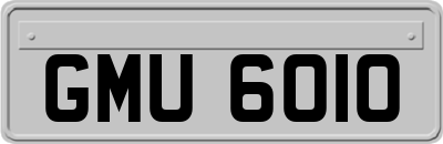GMU6010