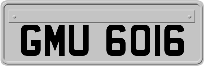 GMU6016