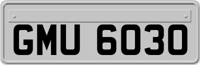 GMU6030