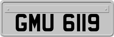 GMU6119