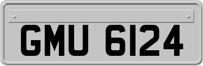 GMU6124