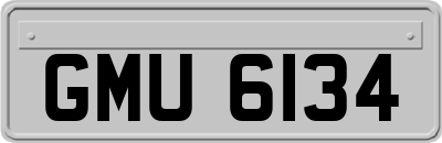 GMU6134