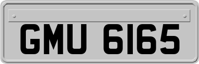 GMU6165