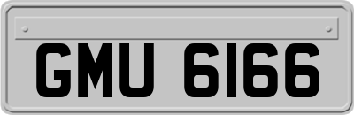 GMU6166