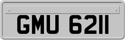 GMU6211