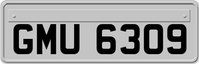 GMU6309