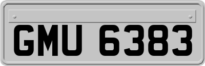 GMU6383