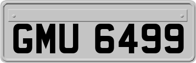 GMU6499